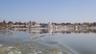 A Velence Korzót üzemeltető cég jogerősen pert nyert a város önkormányzata ellen