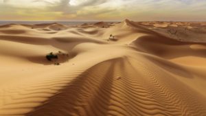 Luxuscikk lesz a homok, virágzik a homokmaffia és a feketepiac