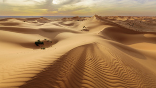 Luxuscikk lesz a homok, virágzik a homokmaffia és a feketepiac