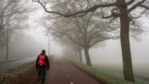 Tartósan ködös, borult idő marad csütörtökön – több vármegyére is figyelmeztetést adtak ki
