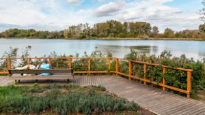 Ez a főváros legnagyobb felületű állóvíztükre, egy rejtett oázis