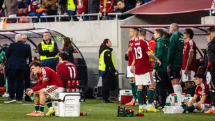 Csernus Imre: Kib*sznám a válogatottból az összes mentálisan alkalmatlan sztárt