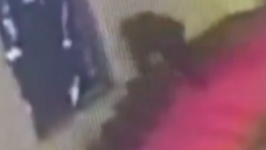 Megbotlott és fejjel áttörte a történelmi Sironi-üvegablakot egy olasz tanácsos