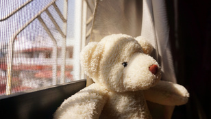 Szexuális fétisekről beszélt a gyerekeknek egy plüssmackó, azonnal levették a polcokról