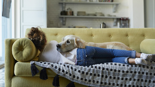 Ezért reagálnak a kutyák percekkel a veszély előtt, és mentik meg az életünket