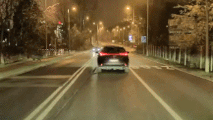 Ez ám a kivédhetetlen, egy vaddisznó szaladt neki egy autó oldalának a Budaörsi úton