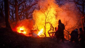 Hetek óta tombolnak erdőtüzek Iránban, a lángok egy Unesco világörökséget fenyegetnek