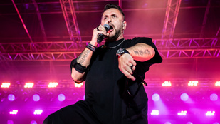 Majkától Demcsákig, mutatjuk a magyar hírességek közlekedési botrányait