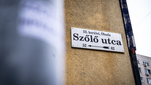 Újabb fejlemény, bűnügyi felügyelet alá került a Szőlő utcai javítóintézet egyik ügyintézője