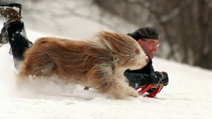 A klímasoviniszták ellopták a telet