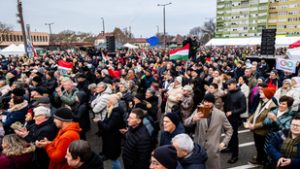 Schrödinger ellenzéke – a Tisza Párt bonyolult lelkivilágáról