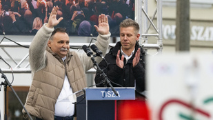 A Tisza Párt petíció indít a Nyíregyházi Állatpark igazgatója mellett