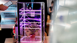 Okosceruza remegő kezűeknek, cigicsikk-visszaváltó – itt vannak a legkreatívabb magyar innovációk