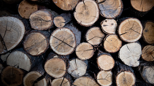 Egyre több család marad hidegben, mert drágul a tűzifa és a kormány nem emeli meg a keretet