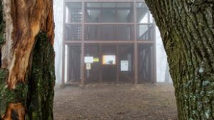 Furcsa verseny, de a Mecsek megverte a Zemplént, sőt még a Börzsönyt is