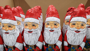 Kukacos csokimukolást kaptak a hajdúböszörményi gyerekek, sokan ettek is a lárvás édességből