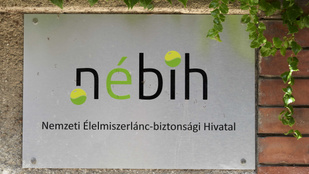 Lecsapott a Nébih, sertéshúsok, savanyú káposzta és a karácsonyi édességek előállítását vizsgálta
