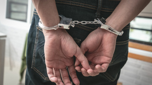 Vissza a középkorba, avagy a pedofil hiénák kiherélésének terve