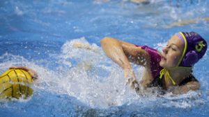 Előttem az utódom: legendás sportolóink gyermekei a klasszissá válás küszöbén