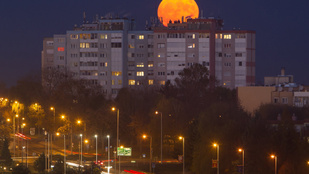 Zavart okoz az erőben a telihold, így hat a balesetekre a magyar utakon