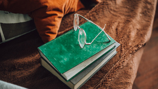 A szemhéja mozgatásával írt könyvet a húsz éve lebénult édesanya