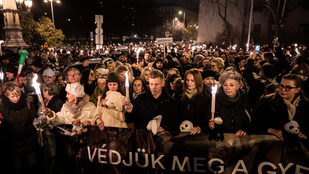 A Szőlő utcai ügy politikai hatása: fordulópont vagy csak epizód?
