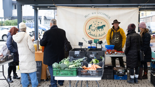 Argentin kreativitás, magyar kecskesajt, dübörgő zalai futballcsapat
