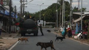 Thaiföld és Kambodzsa újrakezdi a tárgyalásokat