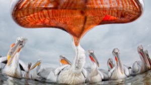 Akinek a hobbija lehetett a munkája