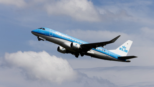 Ágyi poloskák leptek el egy utasszállítót, többen is csípéssekkel borítva hagyták el a gépet