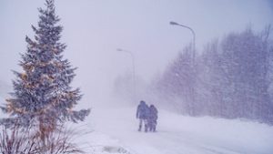 Halálos áldozatokat és országos káoszt hagyott maga után az Észak-Európán végigsöprő vihar