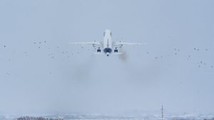 Képeken a madárrajjal ütköző repülőgép, amely kényszerleszállást hajtott végre Budapesten