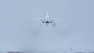 Képeken a madárrajjal ütköző repülőgép, amely kényszerleszállást hajtott végre Budapesten