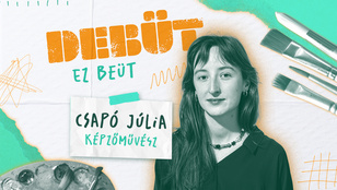 Húsrétegek, földrétegek, inak és ideghálózatok egy telefonnyomkodós világban