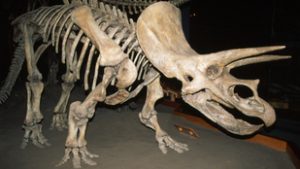 Magyar felfedezés írhat át mindent, amit eddig a dinoszauruszokról gondoltunk