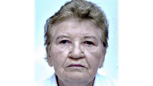 Nyomtalanul eltűnt egy 77 éves nő Gyálon, egész éjjel mentőalakulatok keresték