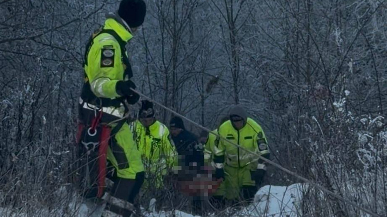 Holttestet találtak egy Gödöllő környéki erdőben