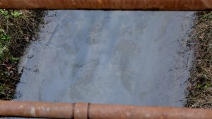 Megérkezett a vizsgálati eredmény a Rákos-patak olajszennyezéséről